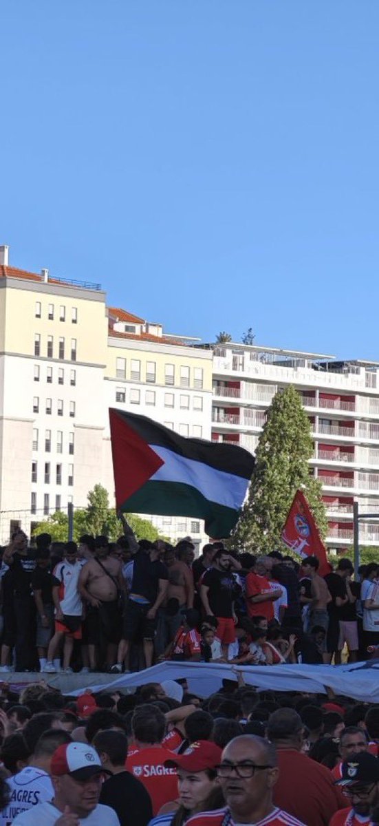 ultras_antifaa's tweet photo. SL Benfica, Portugal https://t.co/BotnkimsPh