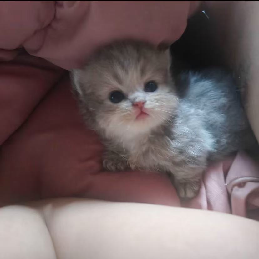 culKitten's tweet photo. https://t.co/PWusJNn7vp