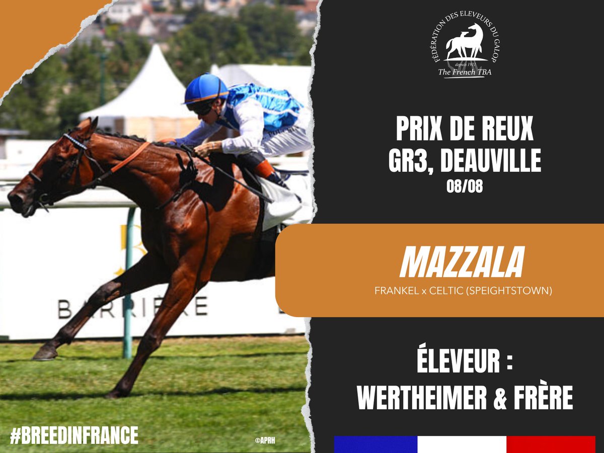 Fedeeleveurs's tweet photo. 🔵⚪ Félicitations à Wertheimer & Frère pour la victoire de MAZZALA, fille de #Frankel, dans le Prix de Reux, Groupe 3 sur l'hippodrome de @fgdeauville (08/08) !
#vivelelevagefrancais #BreedInFrance #RaceAndCare https://t.co/WdlcSpFLtW