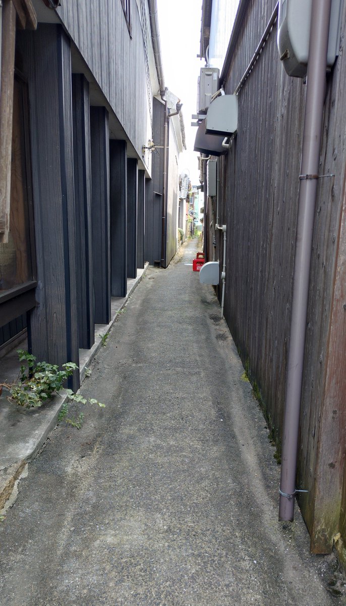 youknow_doll's tweet photo. ベタですが消失点構図が好き。

吸い込まれそうな楽しくも怖くもある不思議な感覚。
消失点に向かう人にとっては終点なのに、向こうから来る人にとっては始点になるところ。

そんな感じ。 https://t.co/V6KKbtwyze