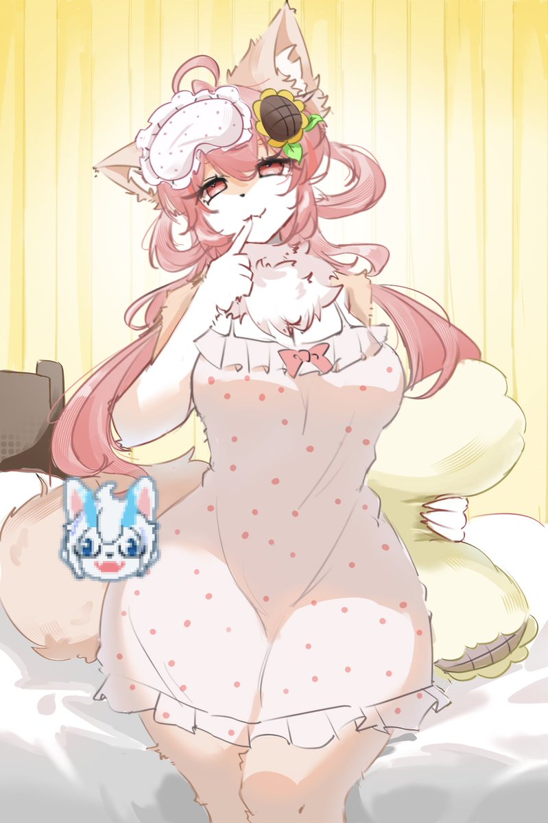 naicha6096's tweet photo. 😺🐱 https://t.co/vcotxWgZaA