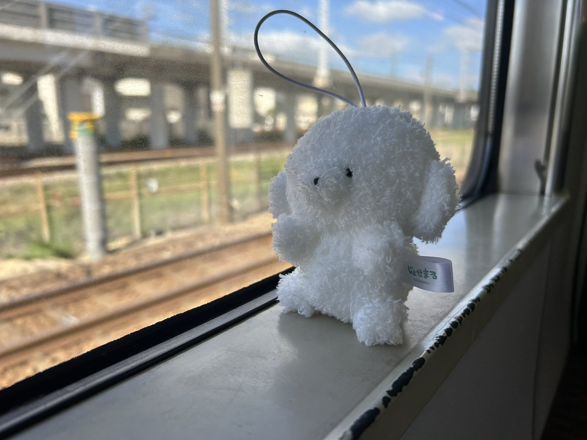 abcscarl's tweet photo. おでけけ♩ https://t.co/mGjmvS1bKs