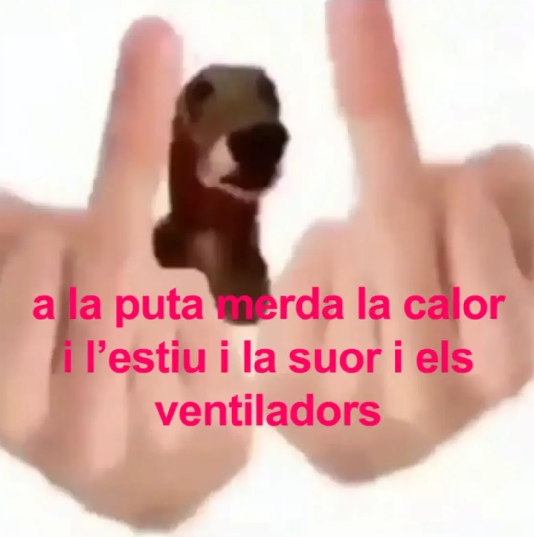 carlesxesp's tweet photo. a 25 de desembre fum fum fum https://t.co/hRpEtMg1MN