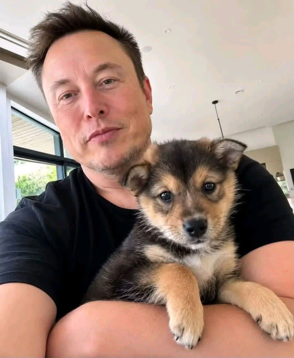 IMRANKHAN221482's tweet photo. I know you love cute things, honey, so I picked this little one as a gift for you! Isn't he adorable? I hope this made you smile! 🎁🐾❤️✨😊
Reaction Question:
Which emoji best matches your reaction to this gift? React with 🥺 (Adorable) or 💖 (Heart)! 👇 https://t.co/udfUyRFOgQ