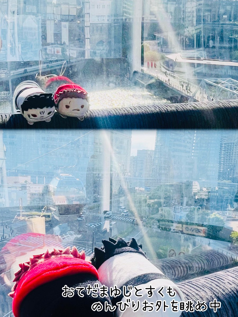 serichimaru's tweet photo. 呪術廻戦 × YOKOHAMA AIR CABIN ①

入場ゲート通る時にキャラの一言が貰えて、往路では野薔薇に共鳴りされて、復路では伏黒に「ようこそ、○○(聞き取れなかった)」と挨拶されたよ
1グループ1キャビンだから貸し切り✨
所要時間5分位だから、景色眺めるのとぬい撮りの両立はだいぶ厳しい🥺 https://t.co/KS0Vo5ActA