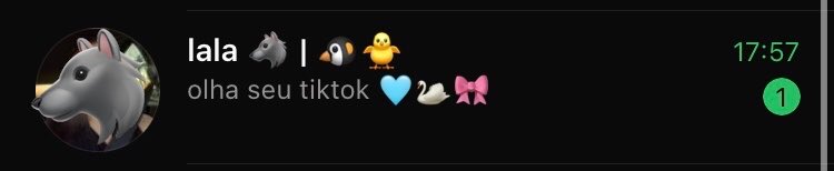 inssengene's tweet photo. sERASE EU DEVO OLHAR MEU TIKTOK?

- 🦢 https://t.co/4pJ2s2CB0Y