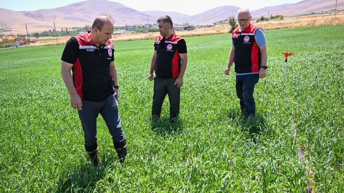 kayseritarimorm's tweet photo. 📍 KAYSERİ/Melikgazi 

İl Müdürümüz Sayın Bülent SAKLAV, İl Müdür Yardımcımız Ergün TUĞLUK ve İlçe Müdürümüz Murat ÜRKER ile birlikte Melikgazi ilçemizde yem bitkisi ekili alanlarda fenolojik gözlem yaparak mevcut duruma ilişkin incelemelerde bulundular.

@ibrahimyumakli @gokmen_cicek_ @BulentSaklav @TCTarim @kayserivaliligi