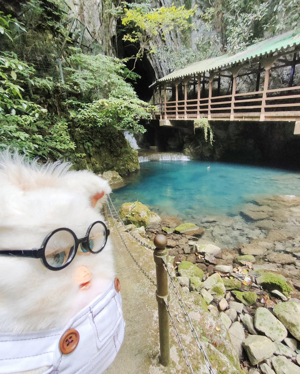 kiraabi_fa's tweet photo. 初めてのおでかけ① https://t.co/eACAPFYxNq