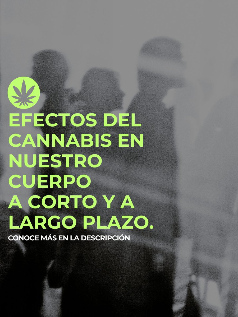 PNSDgob's tweet photo. 📷 El cannabis puede tener efectos a corto y largo plazo sobre la salud, especialmente cuando el consumo es frecuente o comienza en la adolescencia. Conocer sus riesgos es fundamental para tomar decisiones informadas. https://t.co/or5b1hMw8g