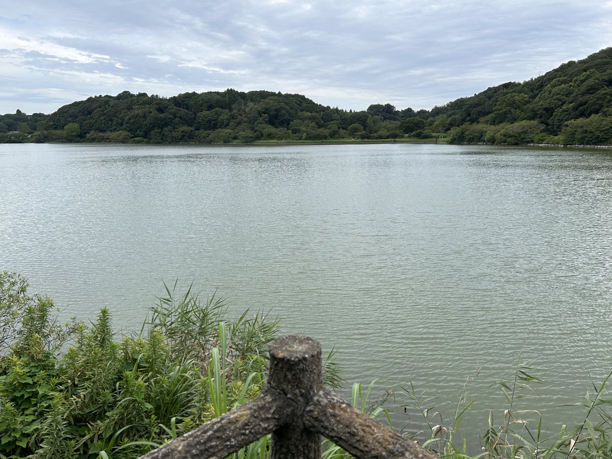 Blue1991416's tweet photo. 台風🌀前との事で、家の野菜達を移動させ今日もひたすら歩いてました🚶
汗だくだけど風が気持ちい🌪️

帰ってしょぼんぬさんの英傑配信観てたら英傑やりたくなってきた
明日はあいあいさんと英傑やりにゴー🚙

開幕胃にお肉ぶち込んで稲毛鉄腕の英傑筐体で苦しんでたらそれは私です😣
感動の肉と米
い○なりステー○に変わる令和のステーキ屋なんじゃないかと密かに期待してる🧐
毎回マヒロさんトコ行く時に気になってはいたんだよね‥

台風の影響あんまないといいなぁ‥