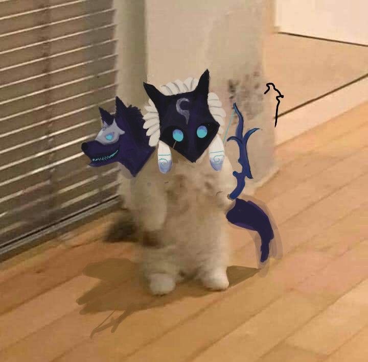 IBiteHardI's tweet photo. I'm too lazy to find free time to finish my pinned. I already have the info, vid and all, but still need to finish everything lol.

Mb https://t.co/ymerSMA6Mi