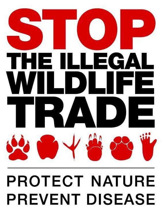 wildlife_web3's tweet photo. Protect what we love before it’s gone forever.
#wwf #ProtectAnimals https://t.co/oTnuWNwJO0