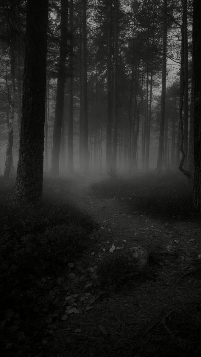 NIN75_'s tweet photo. The path....... https://t.co/6AeuckpYxh
