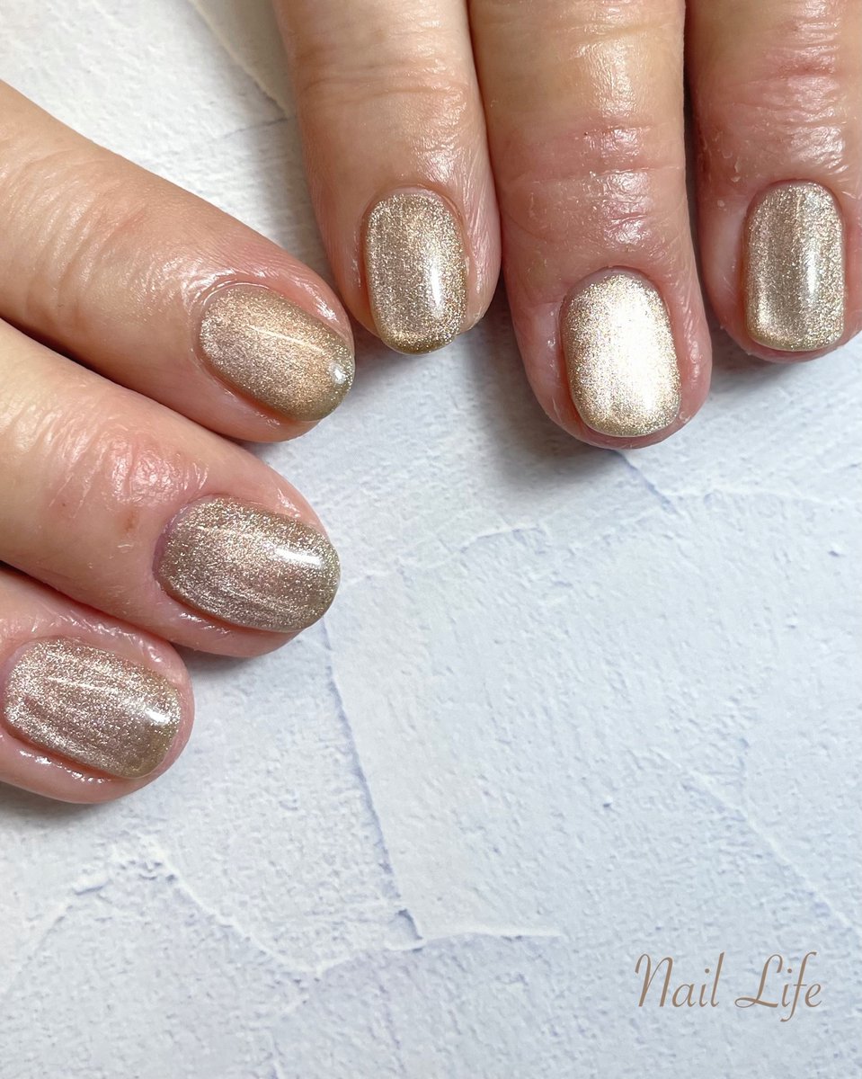 NailLife1's tweet photo. 大人上品なマグネットネイル(о´∀`о)。
落ち着いたブラウンベージュで余裕のある女性に♪

#マグネットネイル #40代ネイル50代ネイル #大人上品ネイル #夏 #秋 #ハンド #ベージュ #ブラウン 

Na...

詳細はこちら↓（ネイルブック）
https://t.co/n8y4w5xP9z https://t.co/l2BfJ7m2H3