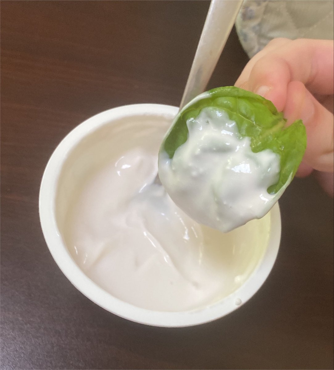 trainingmywings's tweet photo. ────୨ৎ────────୨ৎ────
OMAD spinach dipped in greek yogurt ⊹ ࣪ ˖ ໒

   about 67 cals (yes).          ˚ ༘ ೀ⋆｡˚ ˚ ༘ 
12g protein.                   ˚ ༘ ೀ⋆｡˚ ˚ ༘ ೀ⋆｡˚ ˚ ༘ 
 carbs 6g.     ˚ ༘ ೀ⋆｡˚ ˚ ༘ ೀ⋆｡˚ ˚ ༘ ೀ⋆｡˚
       1.7g fiber  #edrtwt #omad #shedrtwt https://t.co/1bLvt1v4S3