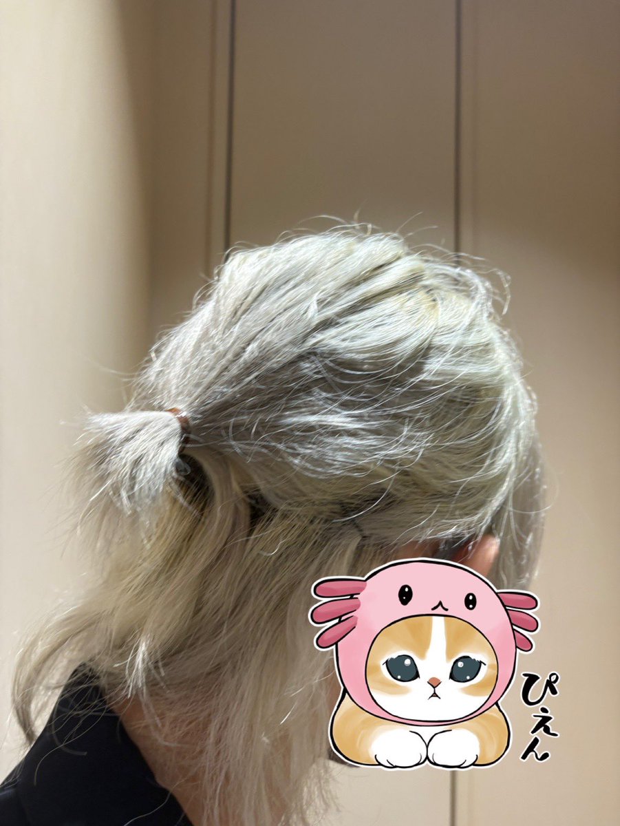 cidvy9's tweet photo. 髪の毛ぼっろぼろ
今日寝癖やばかったからハーフアップにしたけど https://t.co/iZ08oSbWZc