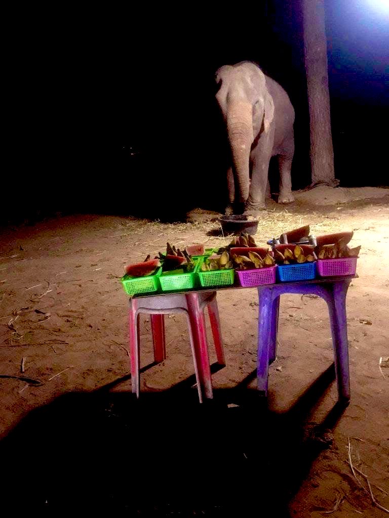 elephantsbbb's tweet photo. ค่พคืนนี้พ่อควาญมาตั้งร้านเล็กๆขายผลไม้😭🙏เพื่อดูแลแม่ควาญที่อยู่โรงพยาบาล นอนอยู่ในห้อง ICUวันนี้ลูกมาขอความเมตตา พี่ใจบุญขอฝากคุณพี่ช่วยอุดหนุนผลไม้ เพื่อนำไปเลี้ยงดูครอบครัวและซื้อแพมเพิดให้แก่แม่ควาญครับ😭🙏🙏🙏🐘✌️❤️#ผลไม้ยกถุง250คะแนน
4260188294 ไทยพาณิชย์
นายชัยพล บมขุนทด https://t.co/JQxsx3dfLg