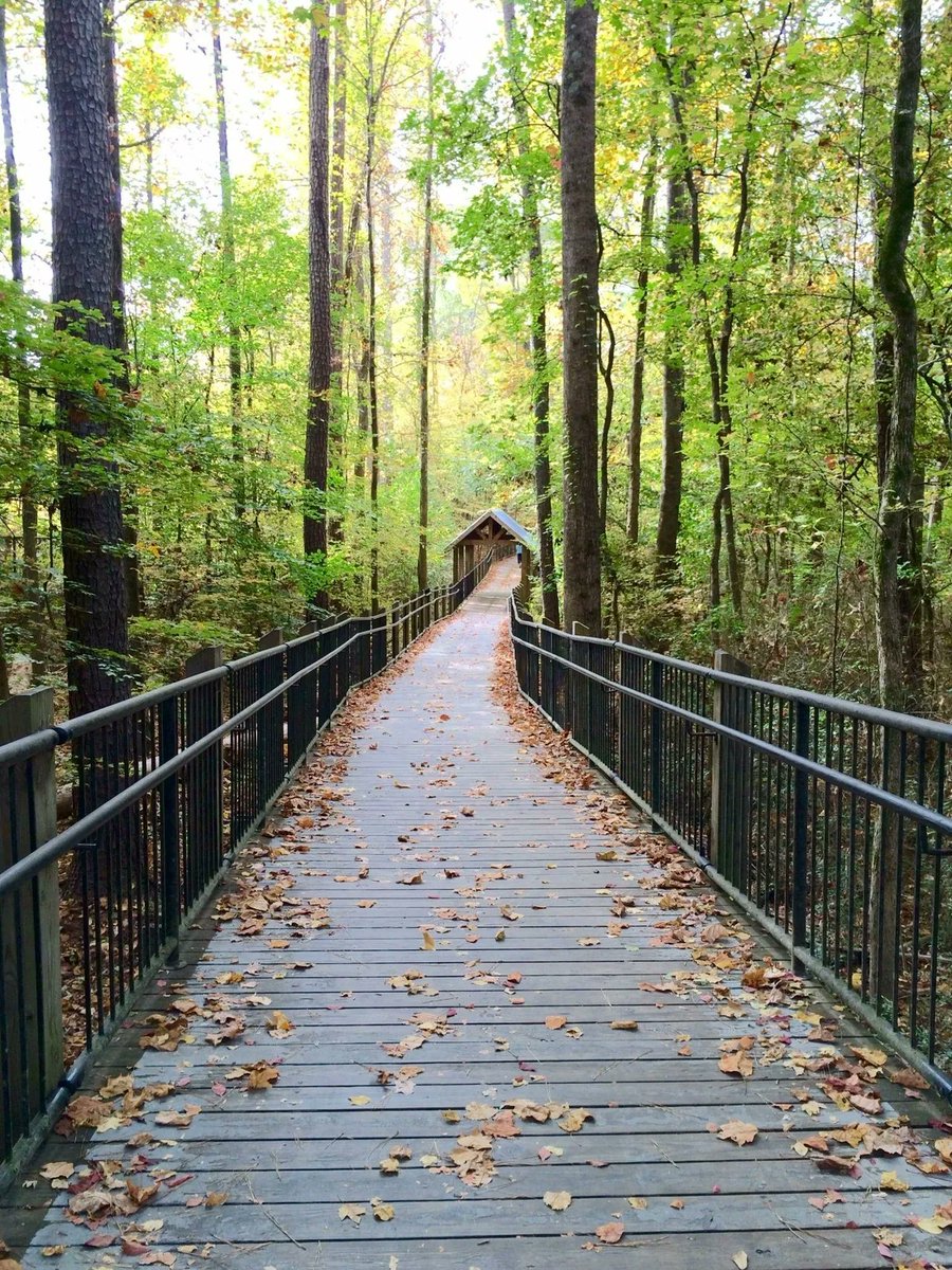ActiveRunnerOnX's tweet photo. Suwanee Greenway - Suwanee, GA

Difficulty: Easy to Moderate
Active Runner Rating: 8.4

Learn More about the Greenway Here:
https://t.co/kDKNVpR0Z4

#theactiverunner #runnerlife #Suwaneegreenway #Georgia #HealthyLifestyle https://t.co/odDMdnSRuv
