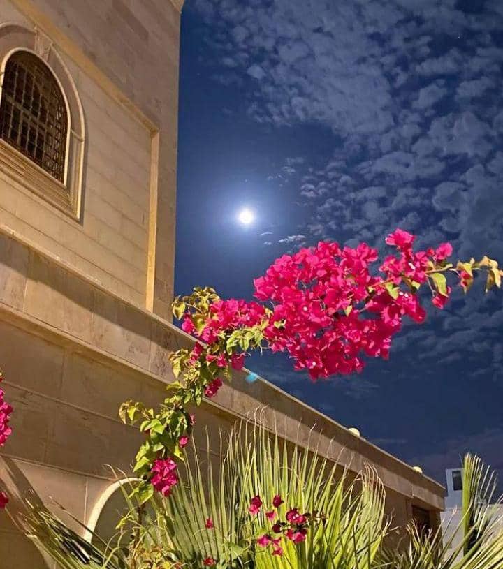 taranim52736365's tweet photo. أين تسند ظهرك! 

اللهم اسلمت نفسي اليك وفوضت أمري إليك لا ملجأ ولا منجا منك الا اليك .. https://t.co/EyfVVDUszv