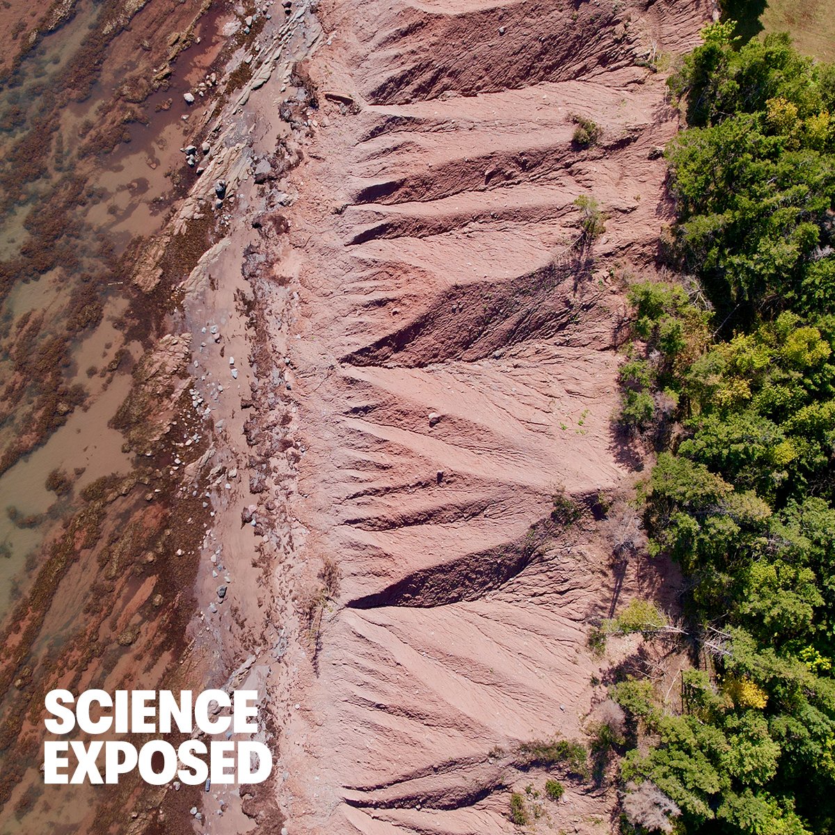 NSERC_CRSNG's tweet photo. [Shifting coastlines]

Celeste Cunningham @stfxuniversity

This is one of this year’s #ScienceExposed research image finalists.

To vote for this image in the running for the 2026 🏆 People’s Choice Award:

▶️ https://t.co/alOUJjzCl4 https://t.co/d2VisBHKrC