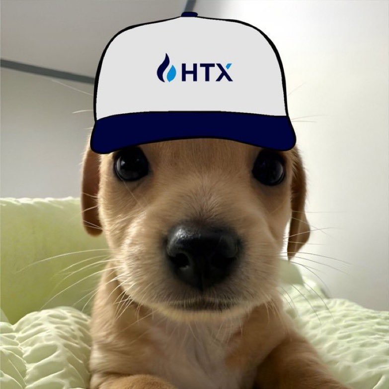 billycoin4ever's tweet photo. only $billy https://t.co/EtFNyApn4r