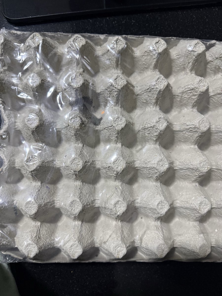 piyushruls's tweet photo. @zeptocares your AI chatbot can't spot the issue with broken eggs and flies inside the packaging and is not allowing me to raise complaint through the app. Please help. Order ID SMOVRMUWO26003 https://t.co/siUTDVoZZ3