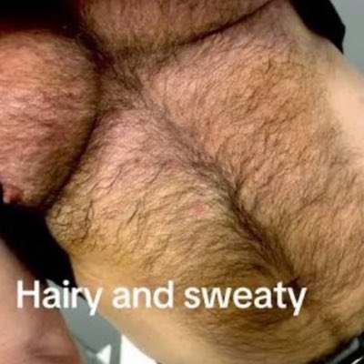DonkeyItalian's tweet photo. #NewProfilePic https://t.co/I5HNKfOKv1