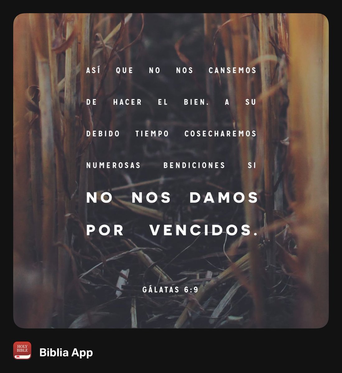 YoyoBarrientos's tweet photo. https://t.co/dFQJLH8uiY