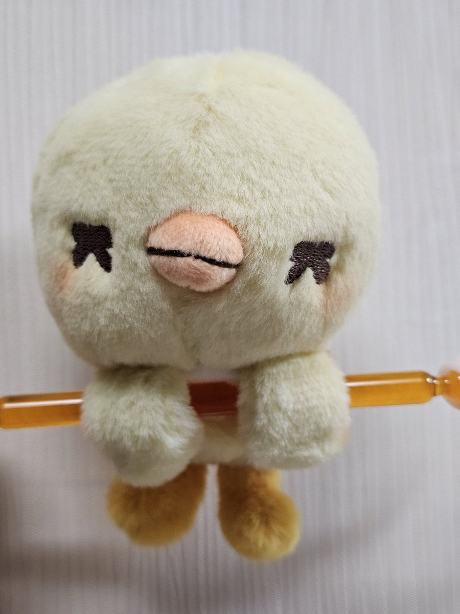 kiwiteukie's tweet photo. ดื้อมากกกก https://t.co/W5xg1cCqwy