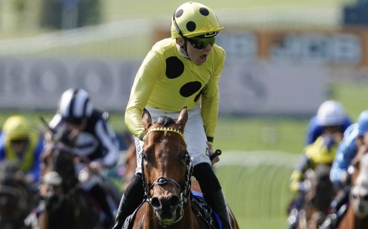 MCYeeehaaa's tweet photo. Superbly trained @gbougheyracing and ridden @loughnane_billy 💛🖤💛🖤 Thanks for the good times Bow Echo. An unbeaten star…have a Yeeehaaa! 🏇🙏 https://t.co/0ETI1ebN9V
