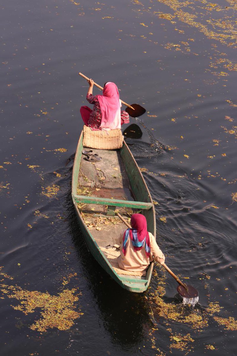 tariqtramboo's tweet photo. Incredible Kashmir.
#India.
Credit @Aminatbaei https://t.co/BxMQdmH1bi