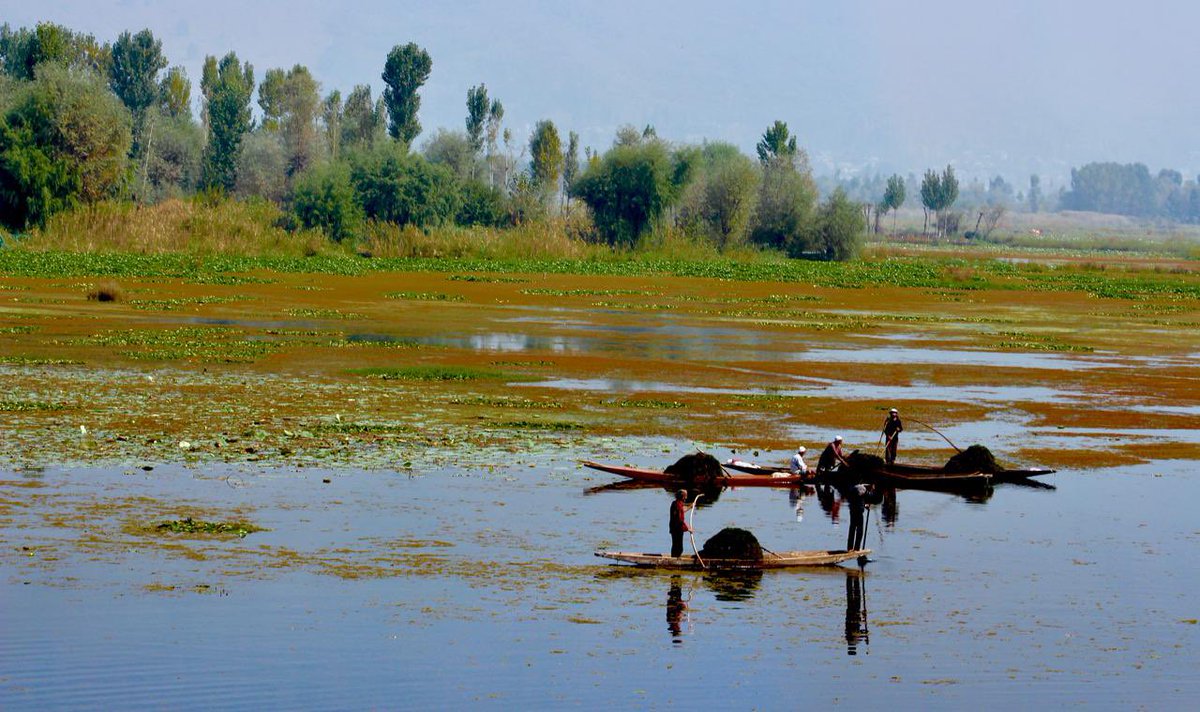 tariqtramboo's tweet photo. Incredible Kashmir.
#India.
Credit @Aminatbaei https://t.co/BxMQdmH1bi