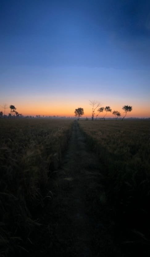 WhereStarsWeep's tweet photo. The PUNJAB they tell stories about ♥️✨ https://t.co/hYLTbfTHof