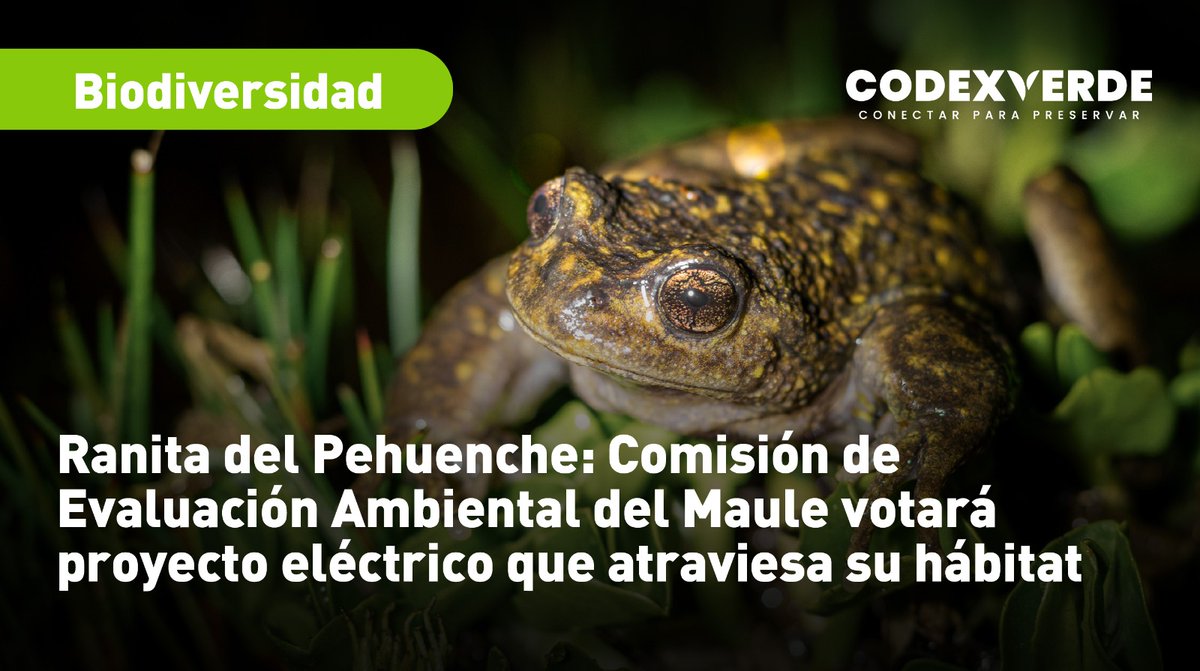 CodeXverde's tweet photo. 🚨El proyecto de Enel Generación busca habilitar una interconexión eléctrica internacional que permita realizar operaciones de importación y exportación de energía entre Chile y Argentina. Organizaciones manifiestan su preocupación https://t.co/9EWbtHbWt5 https://t.co/1jWz9phLCk