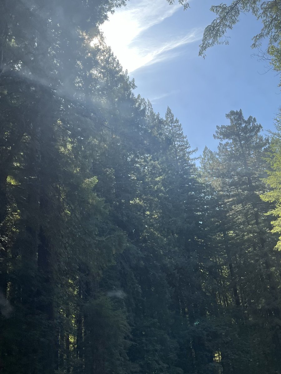 iamrebicat's tweet photo. Mendocino CA https://t.co/r8Jyf7flhs