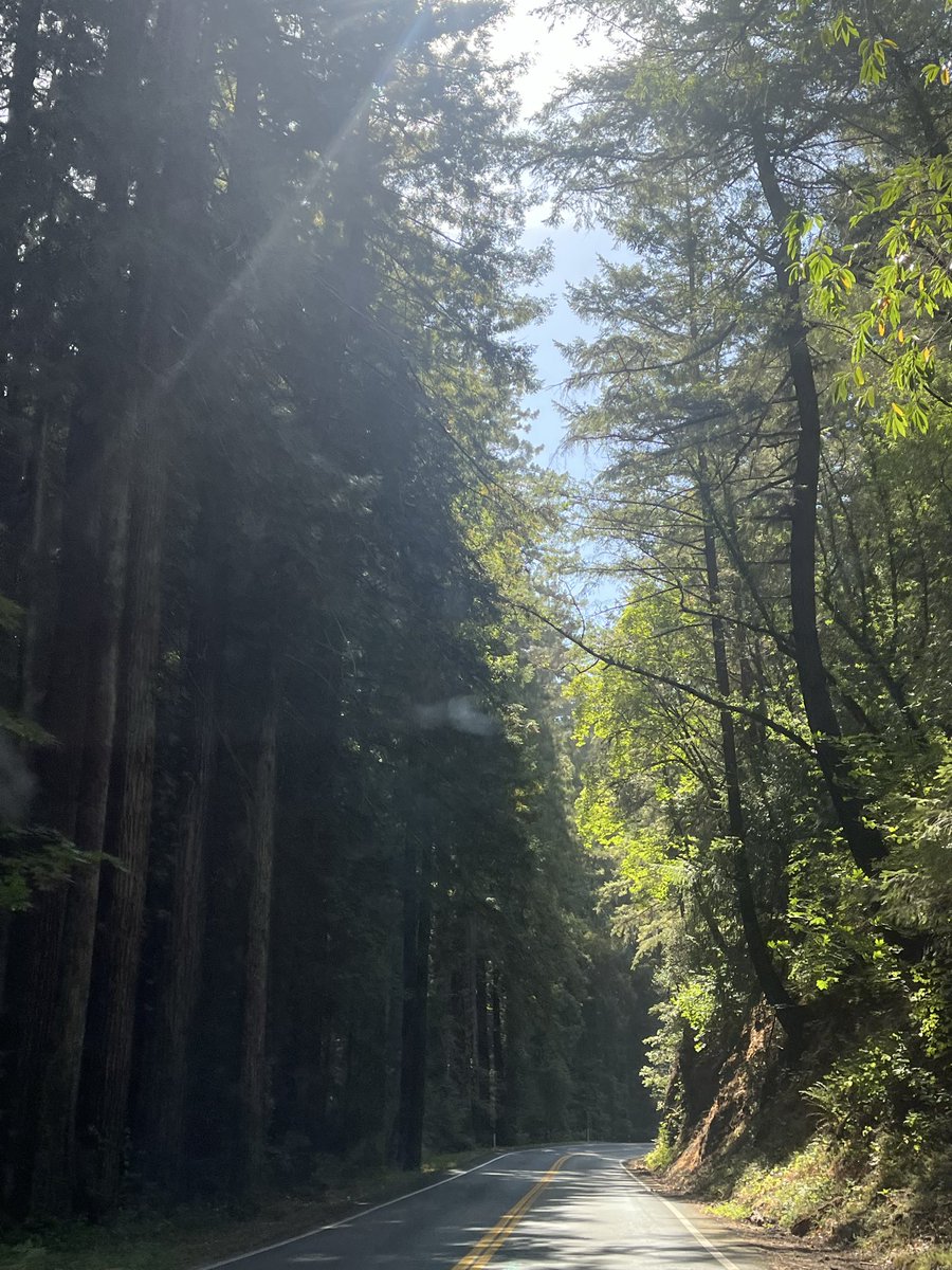 iamrebicat's tweet photo. Mendocino CA https://t.co/r8Jyf7flhs