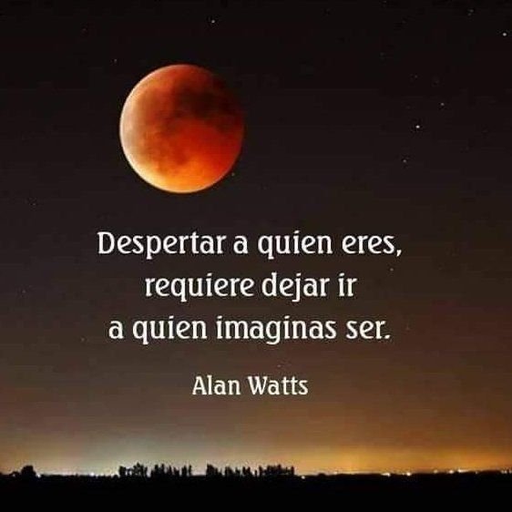 Controlmenta1's tweet photo. 15. https://t.co/DWkGDk6gu3