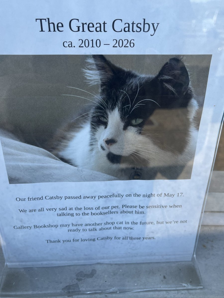 iamrebicat's tweet photo. There is a fabulous bookstore here in town (Mendocino) They had a store cat 🐈 The Great Catsby. I’ve met him a handful of times over the years. Sadly this was posted at the bookstore on my visit there yesterday . 😢 https://t.co/juW2ERkrwv