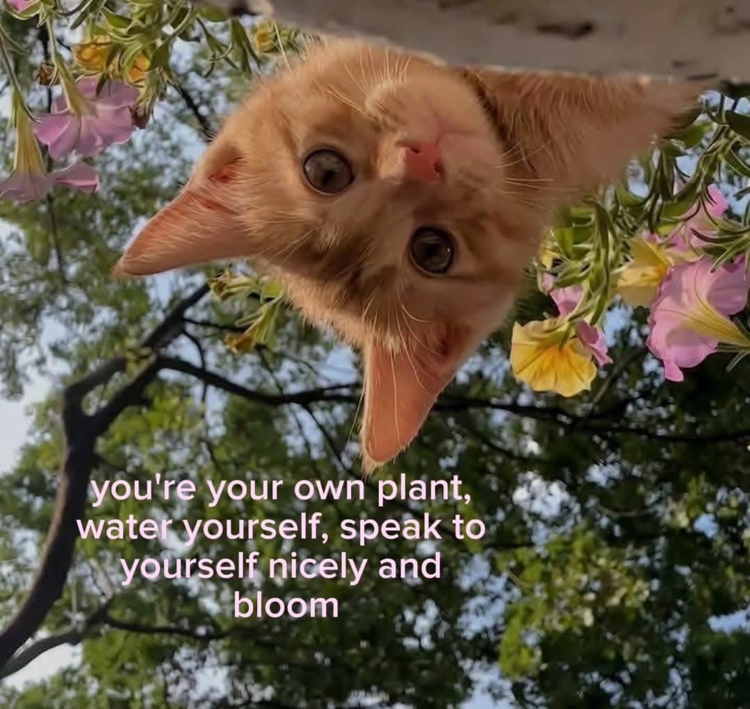 likechildwonder's tweet photo. https://t.co/WCMucG9A21