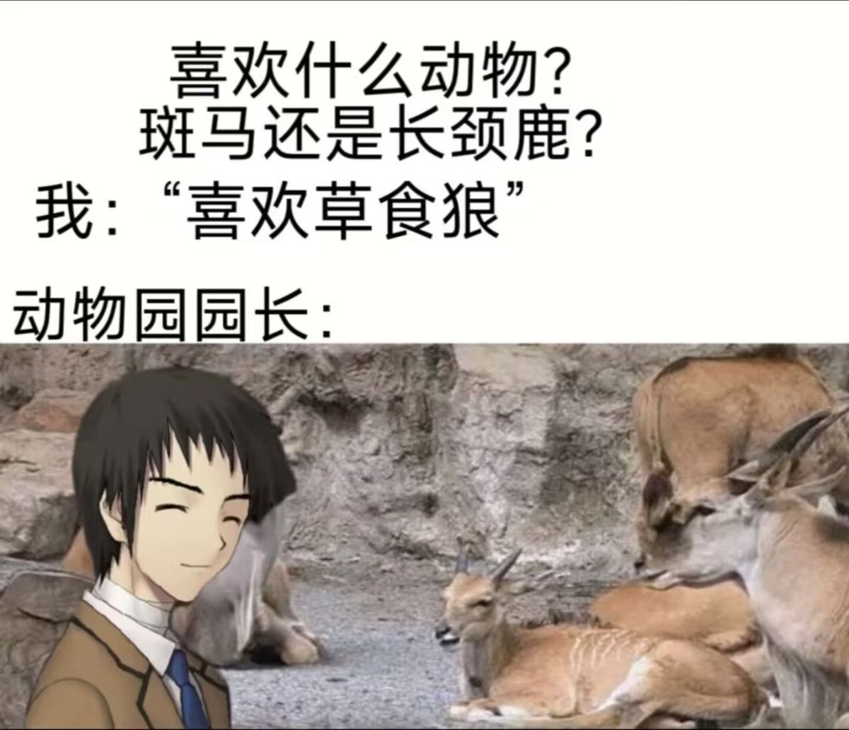subingovo's tweet photo. 阿草可可爱爱的 https://t.co/ei8sf23NSb