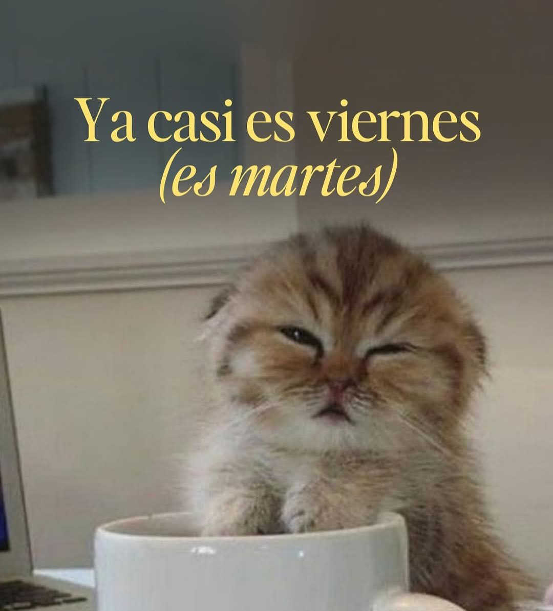 Javisness's tweet photo. https://t.co/aSbFioq0GE