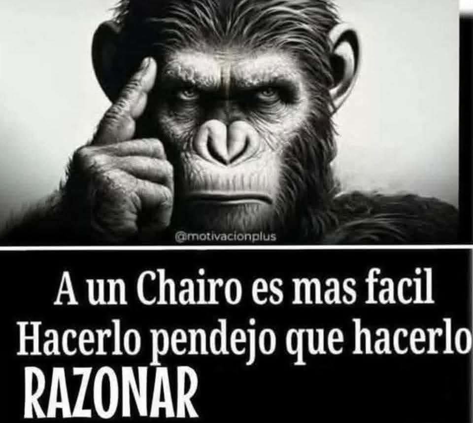 VeronicaBringa3's tweet photo. @miss_moxxa92 Jajaja no mmn, el peoooor de la historia pero sigan recibiendo limosnas https://t.co/KyCFZdeWZj