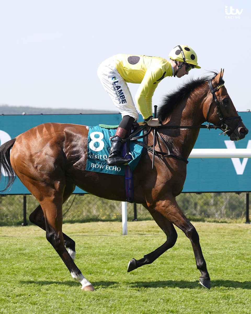itvracing's tweet photo. George Boughey confirms that Bow Echo has been retired from racing after suffering a setback.

Boughey released a statement saying: "It is with great disappointment that we have to announce that Bow Echo has had a setback and will be retired from racing.  

It has been the honour of a lifetime to train a horse like Bow Echo. He has given us some extraordinary days and taken everyone involved on a journey we will never forget. To retire unbeaten, having won the 2000 Guineas, St James’s Palace Stakes and Sussex Stakes says everything about what an exceptional racehorse he has been."