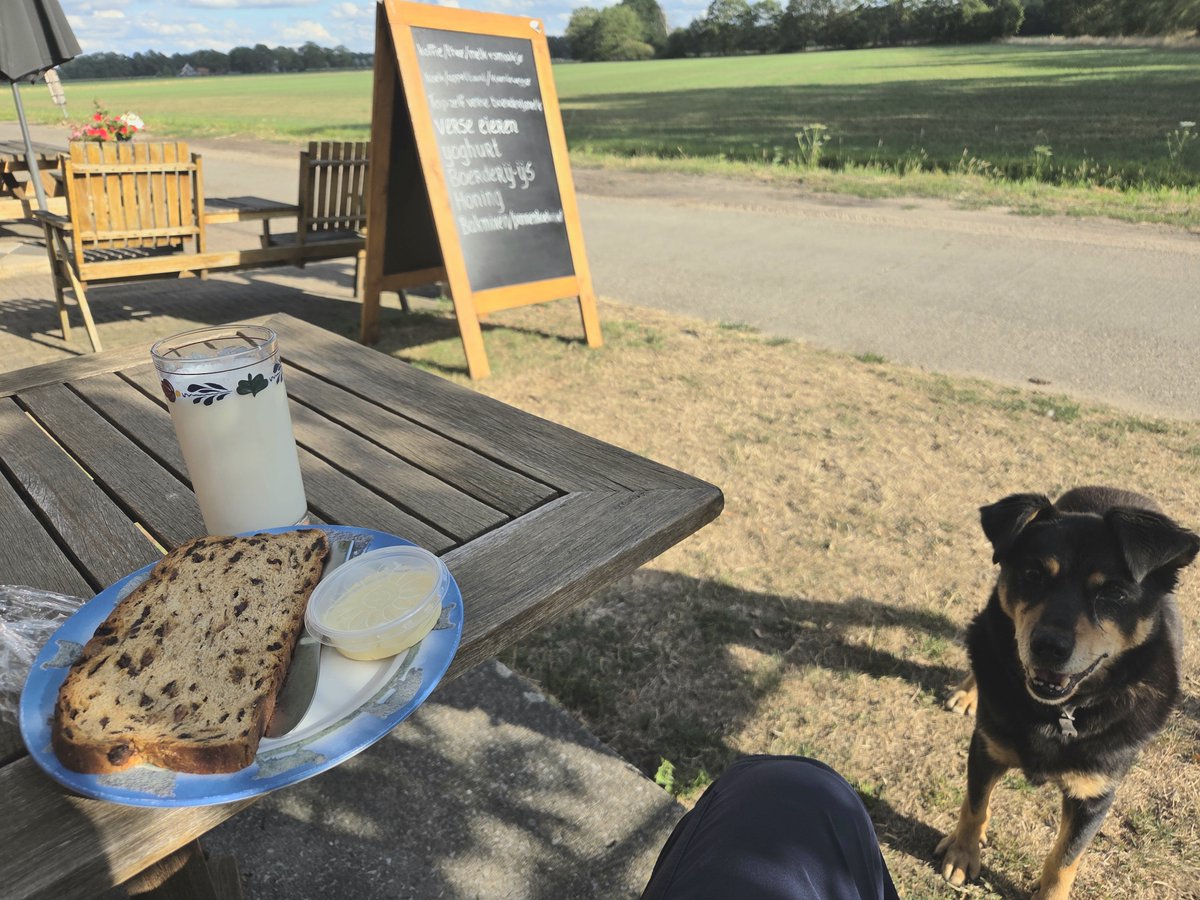 50_henk's tweet photo. Vers getapte melk in boerenbont, krentenwegge met roomboter en bedelende hond. Ik steun de #bioboer. https://t.co/JafG8kAE4V