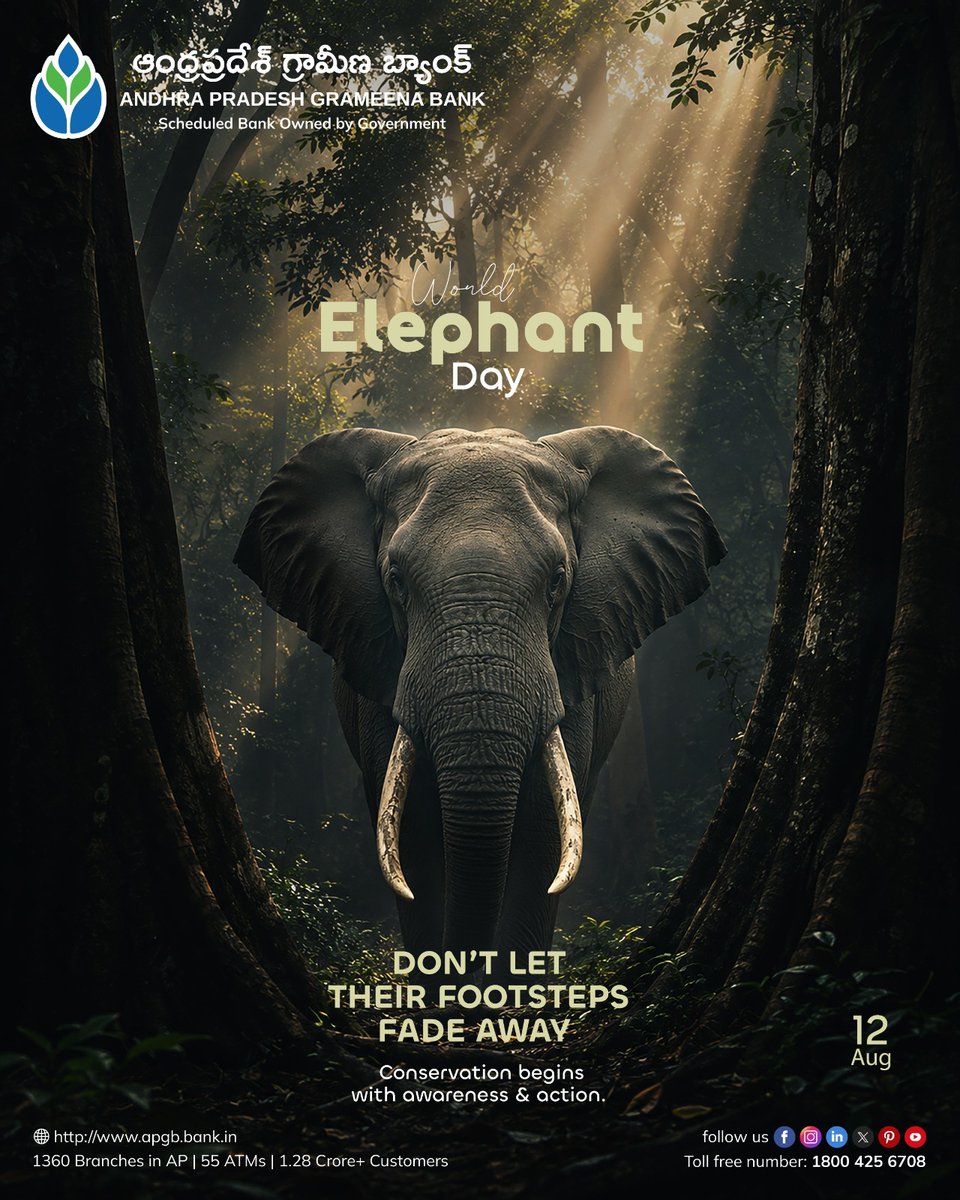 apgbankofficial's tweet photo. Let’s stand together to protect elephants, preserve their habitats and ensure a safer future for these gentle giants.
World Elephant Day

#WorldElephantDay #ElephantConservation #SaveElephants #WildlifeConservation #APGB #AndhraPradeshGrameenaBank https://t.co/Z5eajXX6mB
