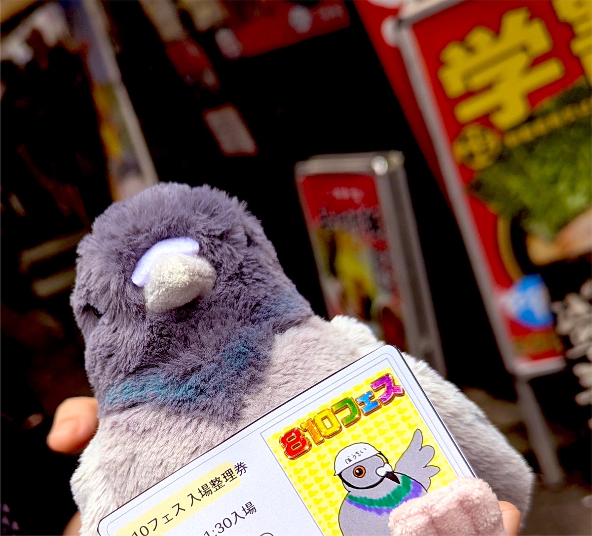 R___xxx_____'s tweet photo. ﾎﾟ🐦( '-' 🐦 )ﾎﾟｯﾎﾟ https://t.co/FMN0udGRXJ