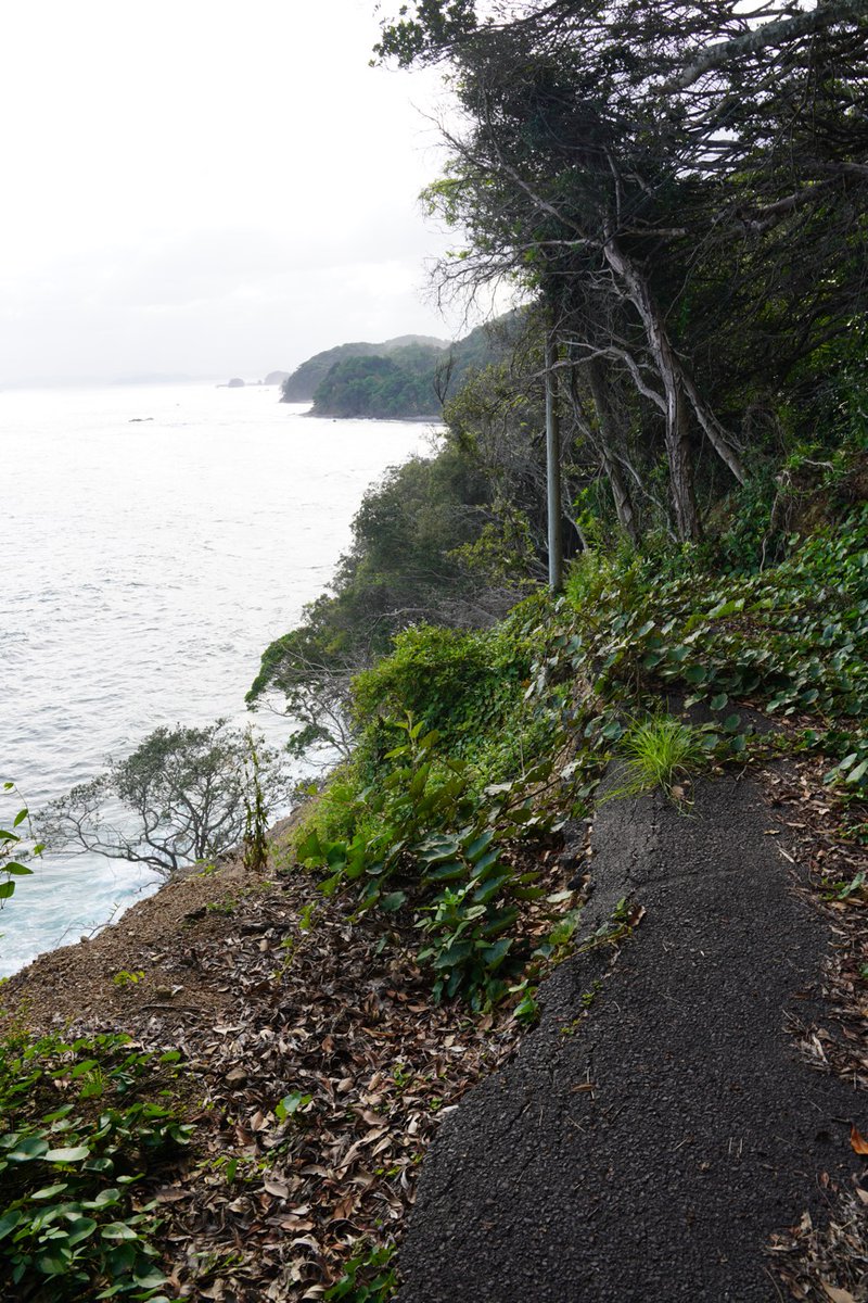 rendezvous6022's tweet photo. 徳島の南阿波サンラインの東側から白滝方面から分岐する道ですが、Googleマップでは繋がっているので行ってみたら通行禁止で、断崖絶壁にになってました。ストリートビューで再確認したところ通行禁止になっています。Googleマップでナビしたら通るようになっています。これはまずいですよね。 https://t.co/gSJkpA96ms