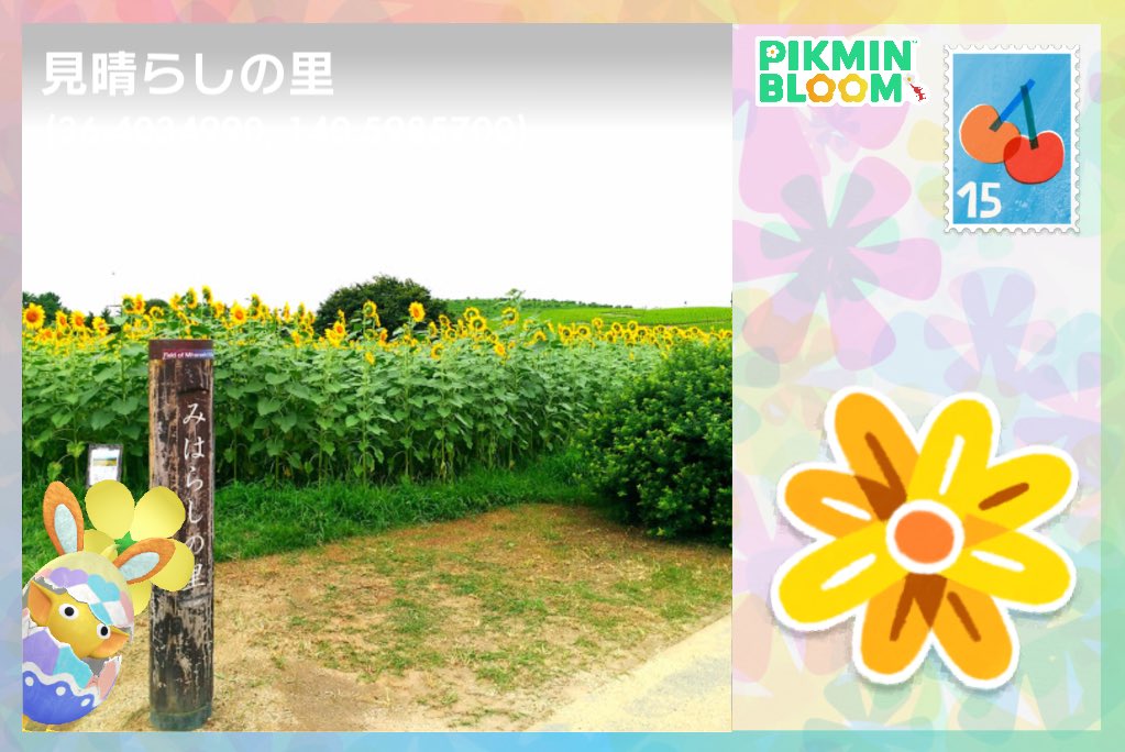 giggle_no2's tweet photo. ひまわりポスカ🌻
どれくらいあるのかな？
#ピクミンブルーム
#pikminbloom https://t.co/YmO3lMvXns