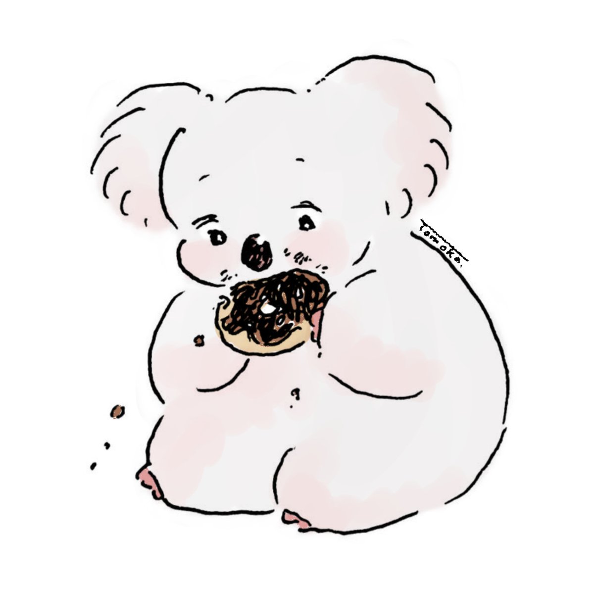 Tomoka1188's tweet photo. チョコドーナツってどうしてこんなに美味しいんだろう🍩🍩

#コアラ #イラスト https://t.co/RSzkqbWLLi