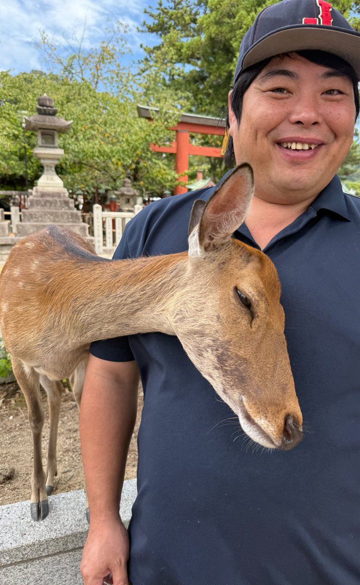 hezuruy's tweet photo. 鹿さんとはもう二年の仲です。
熊本に行っている間は仲間が代わりにパトロールをしてくれました。
この優しい顔が見れて安心しました。
お盆休みはぜひ奈良公園にお越し下さい。 https://t.co/p00FEMHqNg